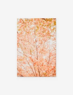Pastel Fall Tree Photography Print By Ingrid Beddoes 13 Pastel Fall Tree Photography Print By Ingrid Beddoes -Famous Decoration Store PastelFallTree