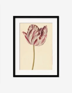 Red And White Tulip Print -Famous Decoration Store RedandWhiteTulipBlackMatted