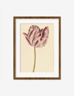 Red And White Tulip Print -Famous Decoration Store RedandWhiteTulipBronzeGoldOrnateMatted