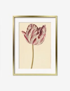 Red And White Tulip Print -Famous Decoration Store RedandWhiteTulipGoldMatted