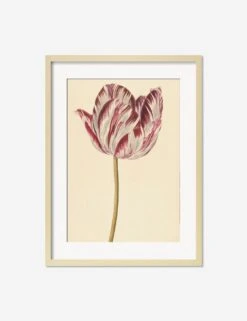 Red And White Tulip Print -Famous Decoration Store RedandWhiteTulipNaturalMatted