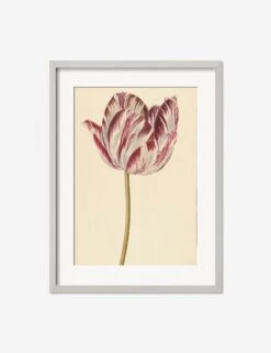 Red And White Tulip Print -Famous Decoration Store RedandWhiteTulipSilverMatted