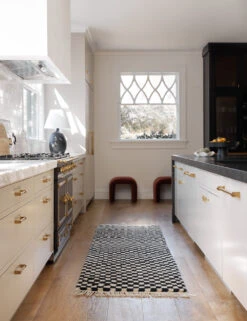 Checkerboard Rug By Sarah Sherman Samuel -Famous Decoration Store Runners 2010 V1 SITECROP