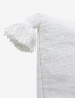 Sami Pillow 39 Sami Pillow -Famous Decoration Store SamiPillow White 2614 f92cbe68 cf1c 4a57 b5e1 72ab3f8a24dc