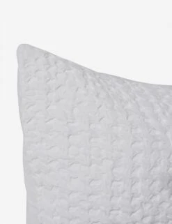 Signy Sham 37 Signy Sham -Famous Decoration Store SignySham White Euro L0466343 95