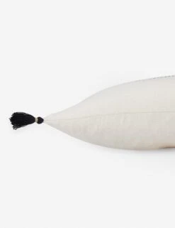 Rylin Lumbar Pillow 5 Rylin Lumbar Pillow -Famous Decoration Store TGA01 2