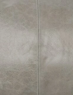 Sabrea Leather Lumbar Pillow -Famous Decoration Store V180025 swatch fe92d1bc 4b01 467c 9ee5 46a7f4a2742f