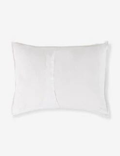 Darcy Sham -Famous Decoration Store V250174 2