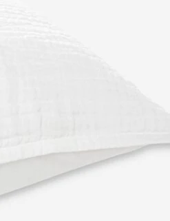 Darcy Sham -Famous Decoration Store V250174 3