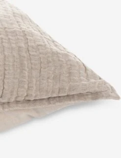 Darcy Sham -Famous Decoration Store V250186 3