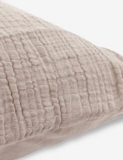 Darcy Sham -Famous Decoration Store V250187 3