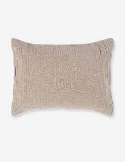 Darcy Sham -Famous Decoration Store V250188 1