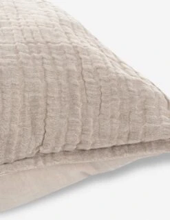 Darcy Sham -Famous Decoration Store V250188 3