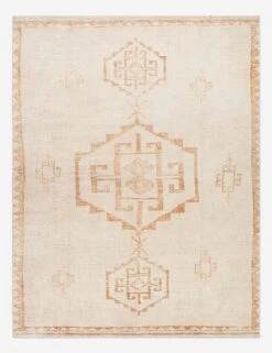 Solana II Rug By Becki Owens X Surya
