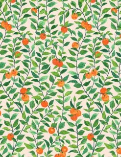 Orange Crush Wallpaper By Nathan Turner -Famous Decoration Store orange crush peach wallpaper sized 12a94e44 bc23 42fd 9c42 184fcbb75cc8