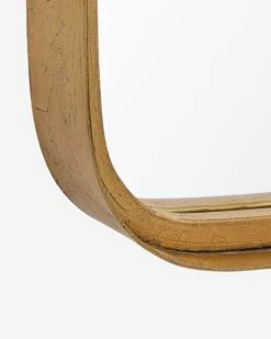 Devyn Full Length Mirror -Famous Decoration Store w00517 a2 detail 1